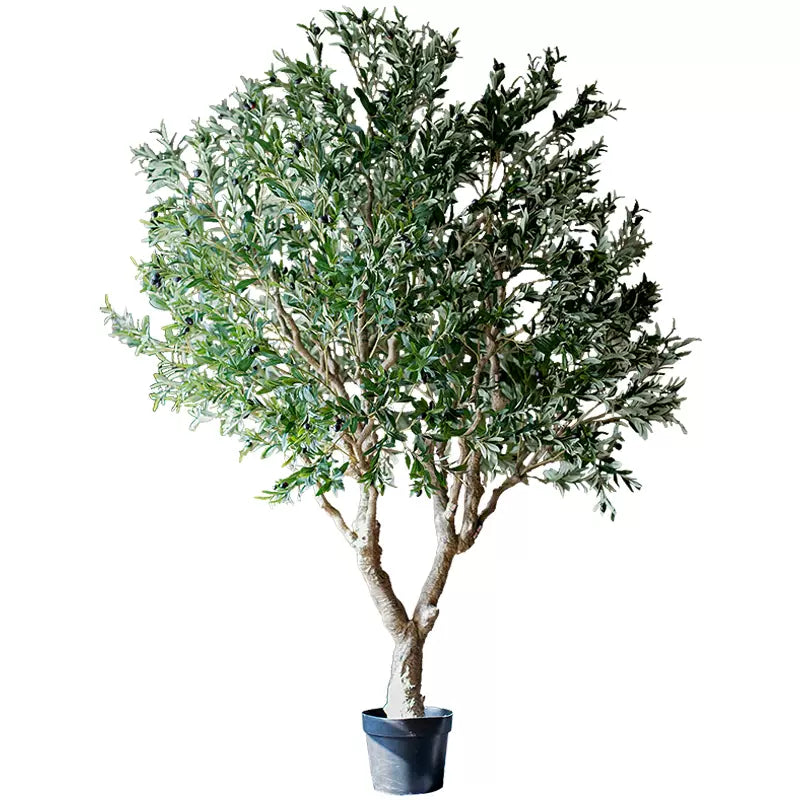 Extra Large Artificial Olive Tree 90" Tall - Lorena Segura Design Lorena Segura Design