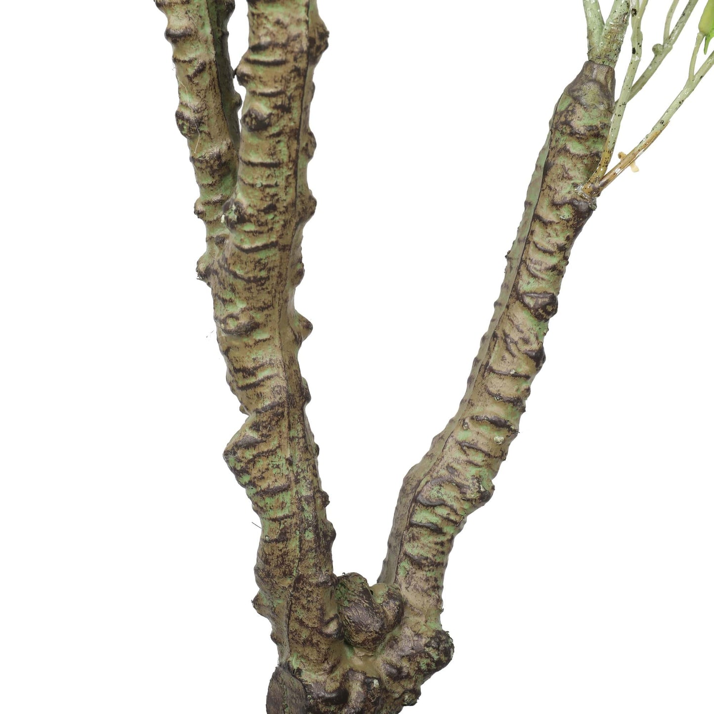 Potted Artificial Eucalyptus Tree (White Box Eucalyptus Albens) 120cm - Lorena Segura Design Lorena Segura Design