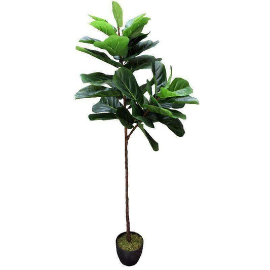 Tall Artificial Fiddle Leaf Fig 170cm - Lorena Segura Design Lorena Segura Design